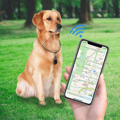 Traceur GPS Intelligent pour Animaux de Compagnie